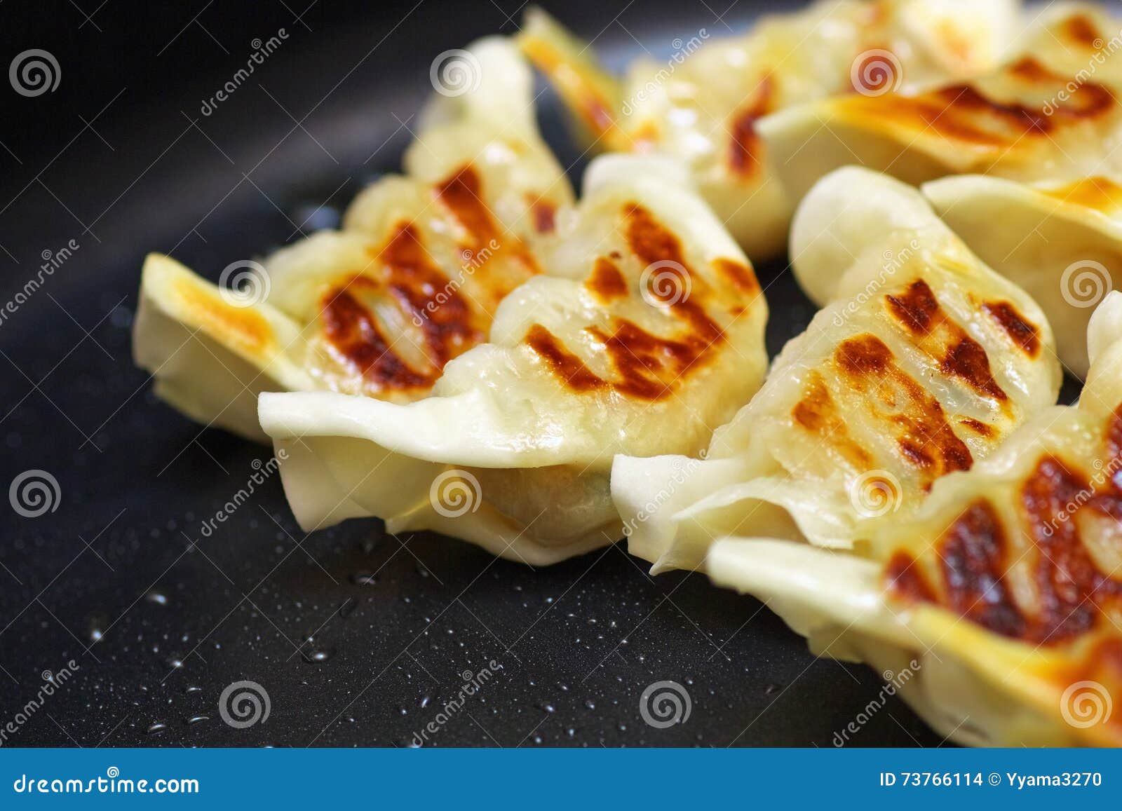 close up of chinese fried dumplings on a frying pan.