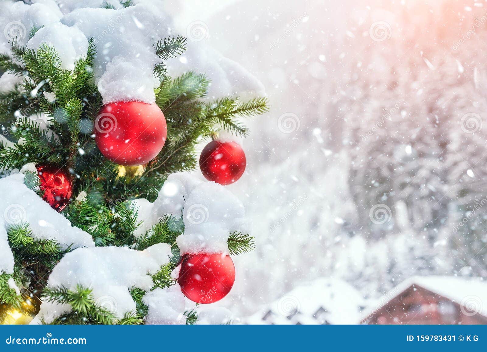 Cây thông Noel được trang trí đầy màu sắc và những đèn lấp lánh là điều không thể thiếu trong ngày Giáng Sinh. Hãy để cây thông Noel trang trí bằng những bông tuyết lấp lánh mang lại không gian đầy ấm áp và tình yêu thương. Hãy cùng trang trí cho ngôi nhà của bạn thật lung linh và đầy màu sắc với những hình ảnh cây thông Noel đẹp lung linh.