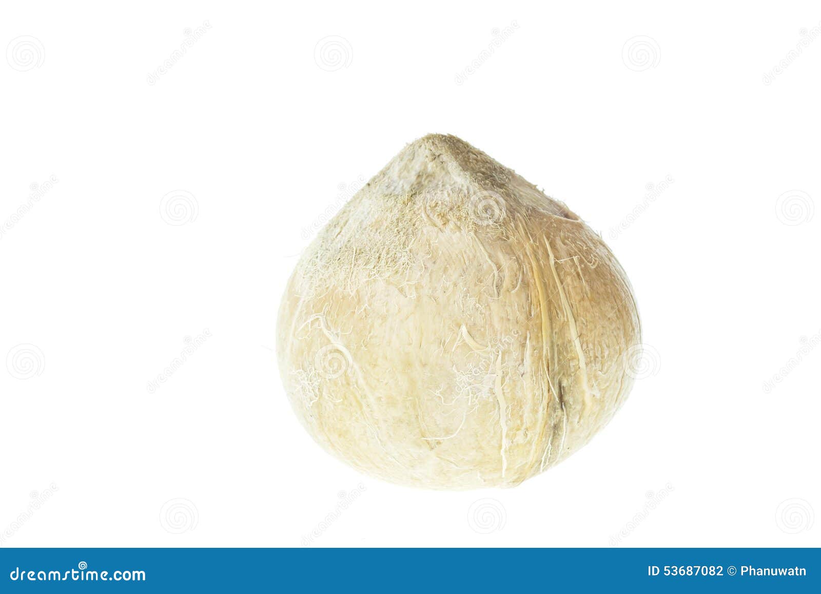 Close Up Coconut Nut Tropical Cocktail Isolated On White Stock Photo