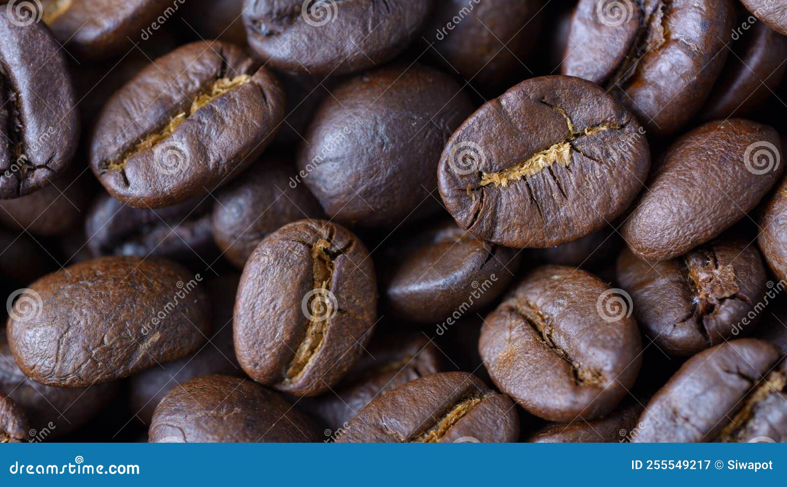 Coffee Beans on Natural Light Stock Image Image of view, closeup