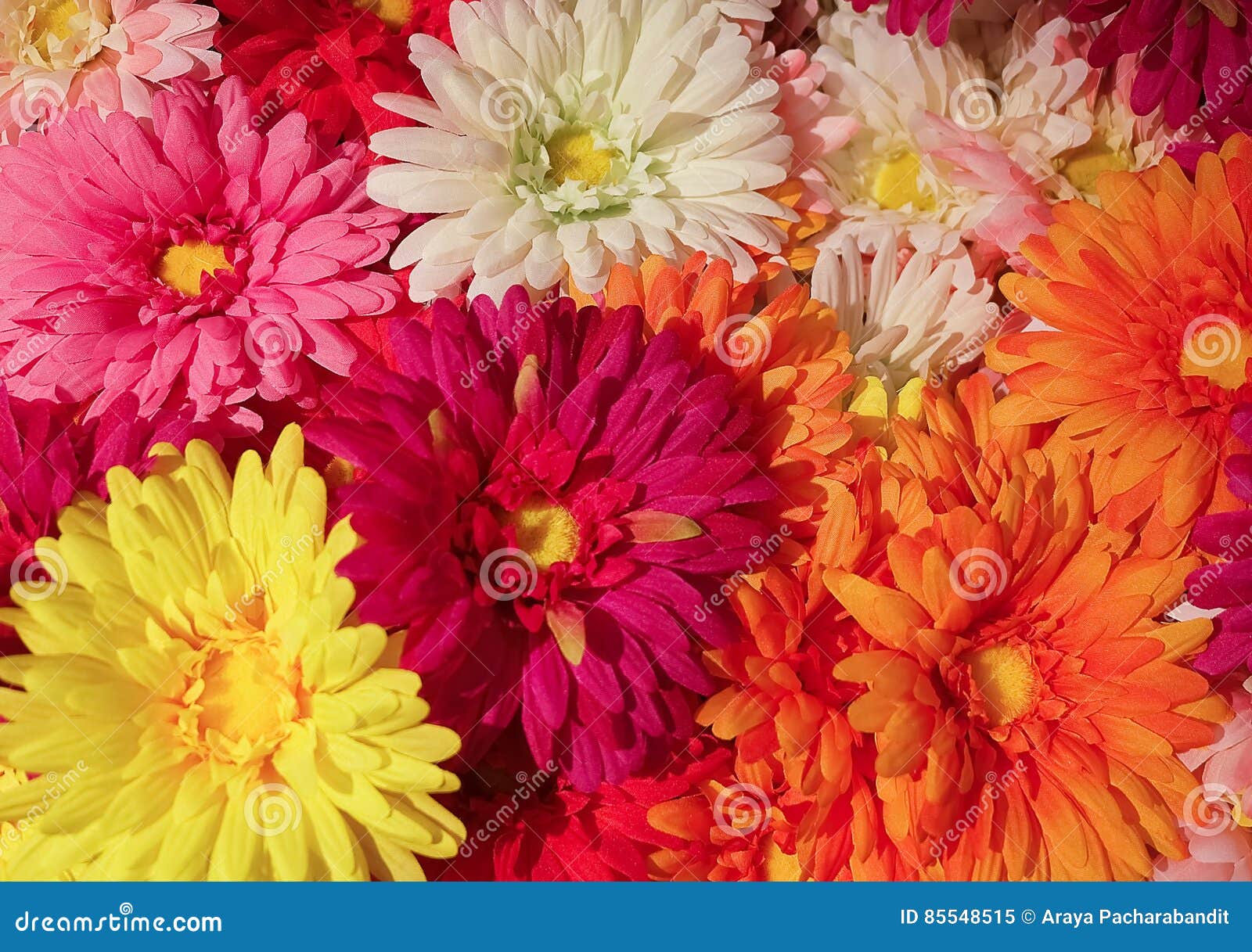 Close Up of Colorful Artificial Daisy Flowers Stock Image - Image of flora,  decoration: 85548515