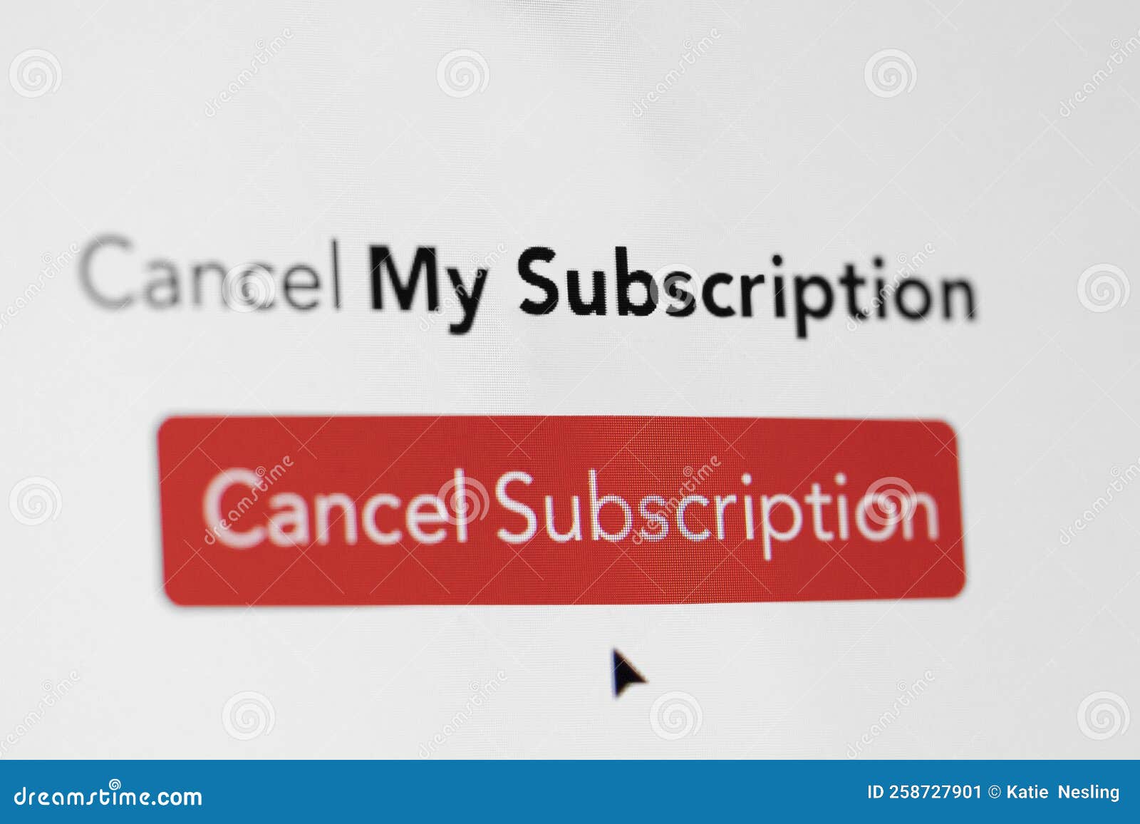close up of computer screen with cancel my subscription message to save money in cost of living crisis