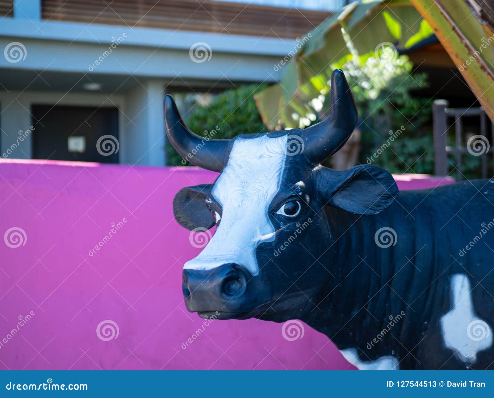 Close Up of a Cow Head Statue in an Outdoor Setting Stock Image Image
