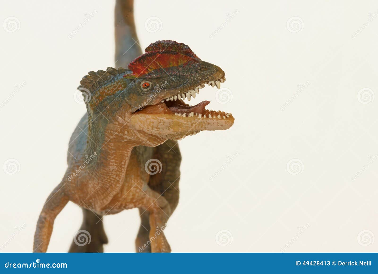 A Close Up Of A Crested Dilophosaurus Dinosaur Stock Photo - Image: 49428413