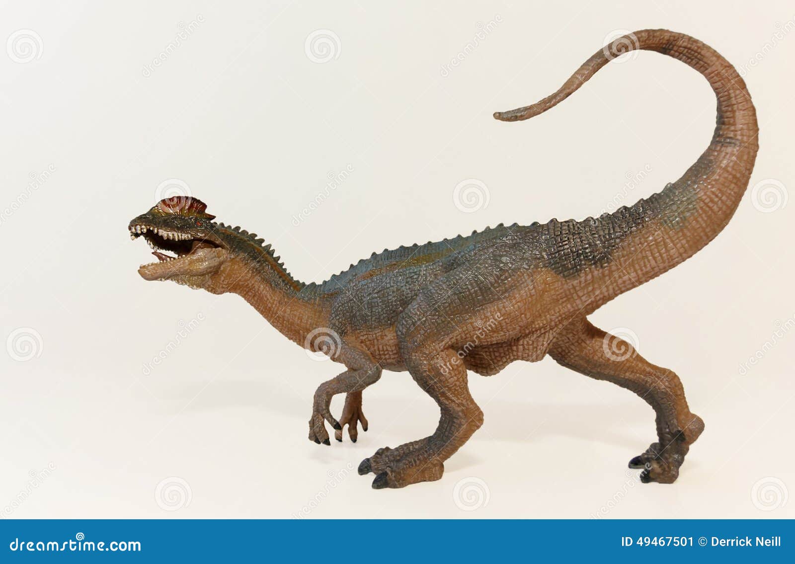 two legged dinosaur with crests on head
