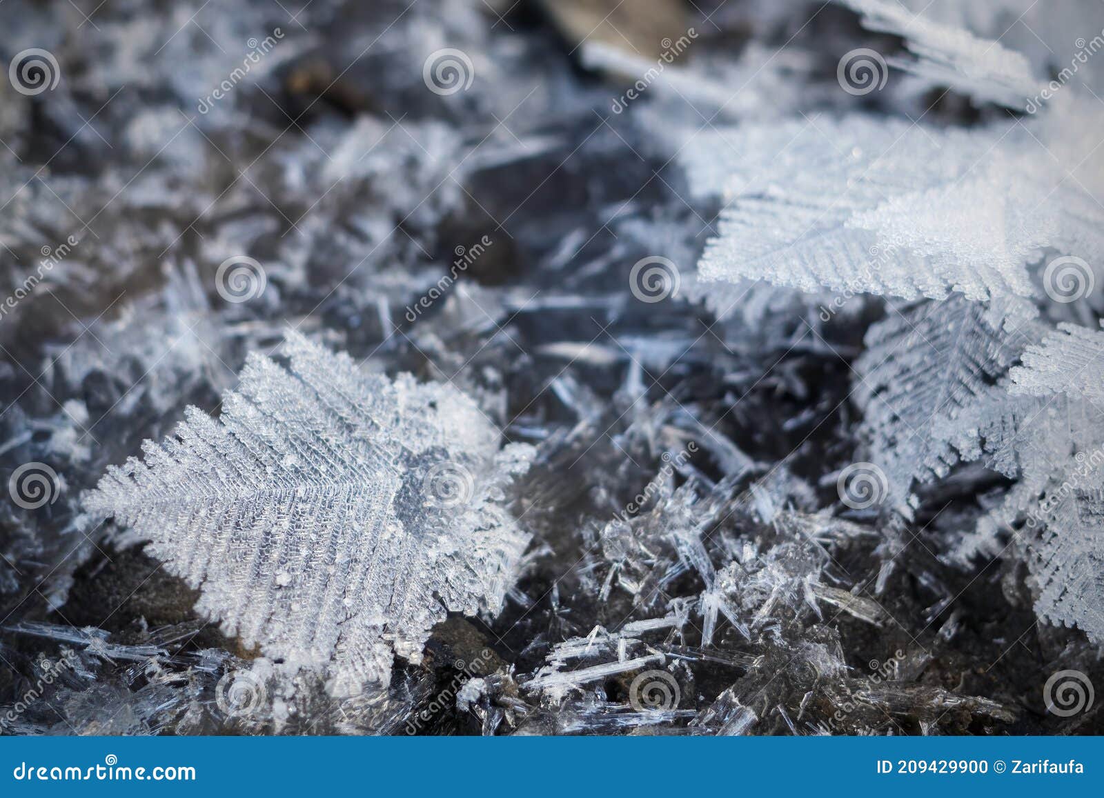close-up of crystal dendrite, snowflake of multi-branching tree-like form. winter nature macro view, selective focus.
