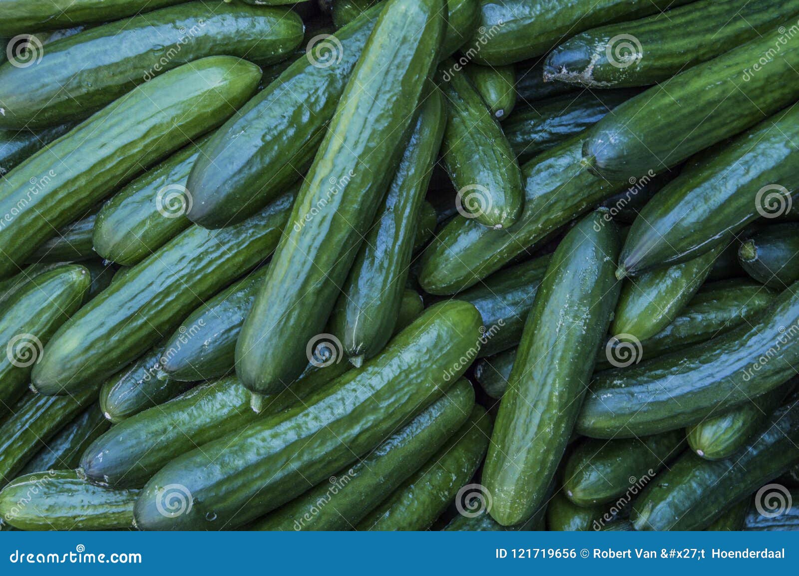 close up of cucumbers
