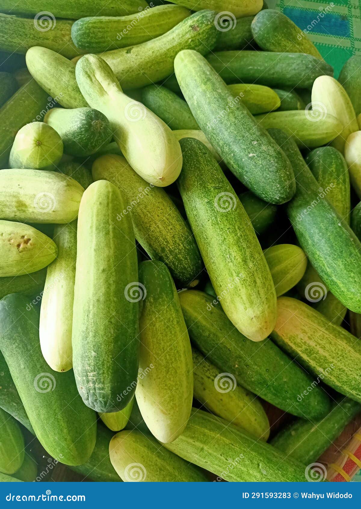 Close Up of Cucumbers in Market Stall Stock Image Image of store