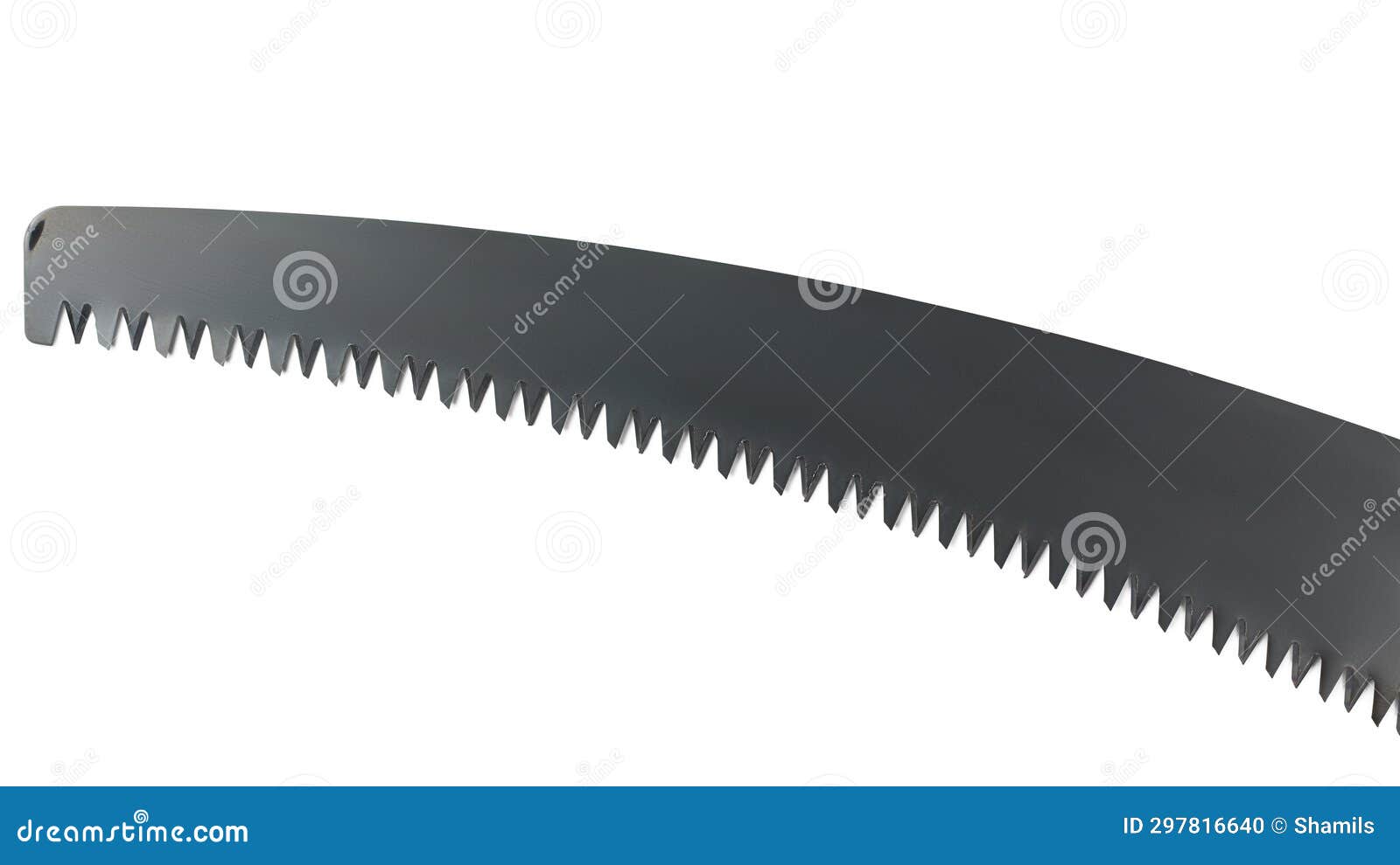 Closeup of Curved Hand Saw Blade Isolated on White Stock Photo Image