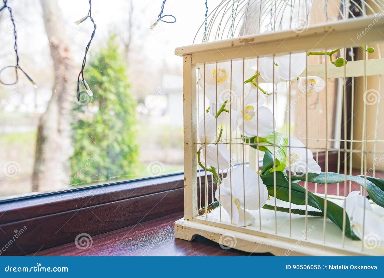 Close Up Decorative Birdcage Stock Photo Image of bright, decoration