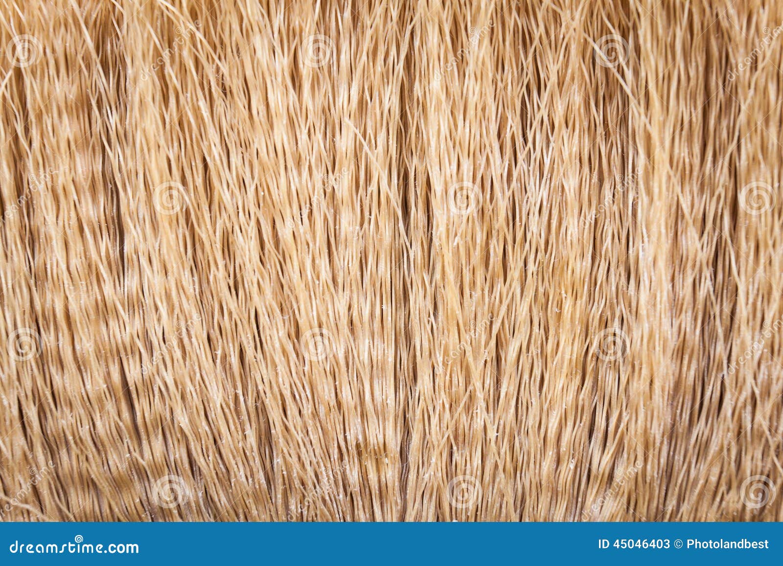 Close up detail of a broom stock image. Image of plastic 45046403