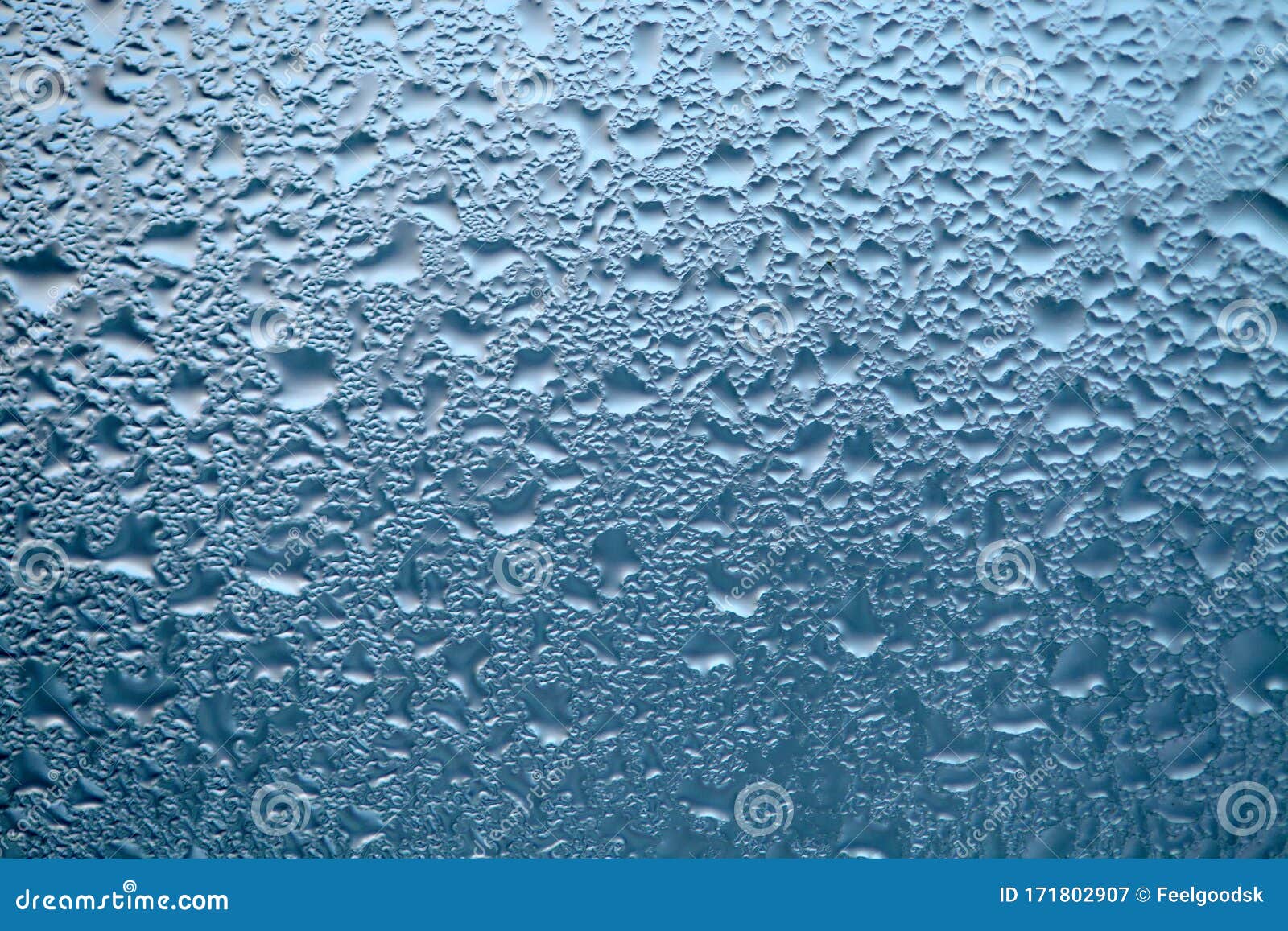 Close Up Detail of Moisture Condensation Problems, Water Drops, Texture ...