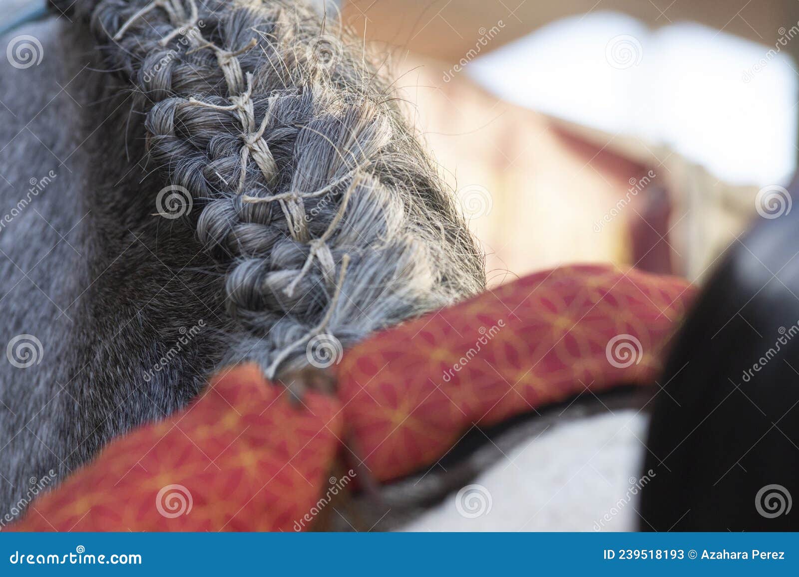 close up detail of traditional bottom braids doma vaquera
