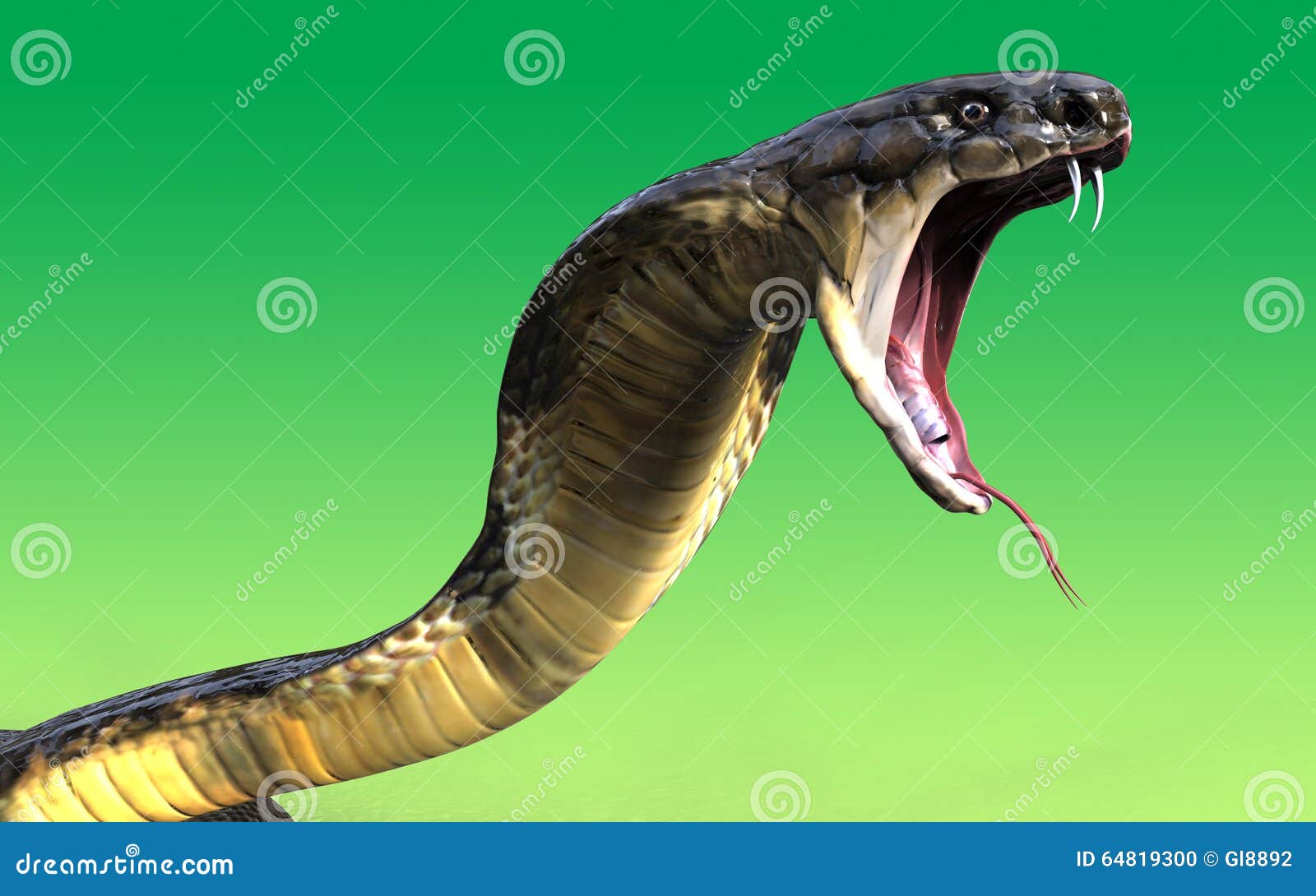 Cobra rei cobra serpente chifrudo dragão táticas jogo de