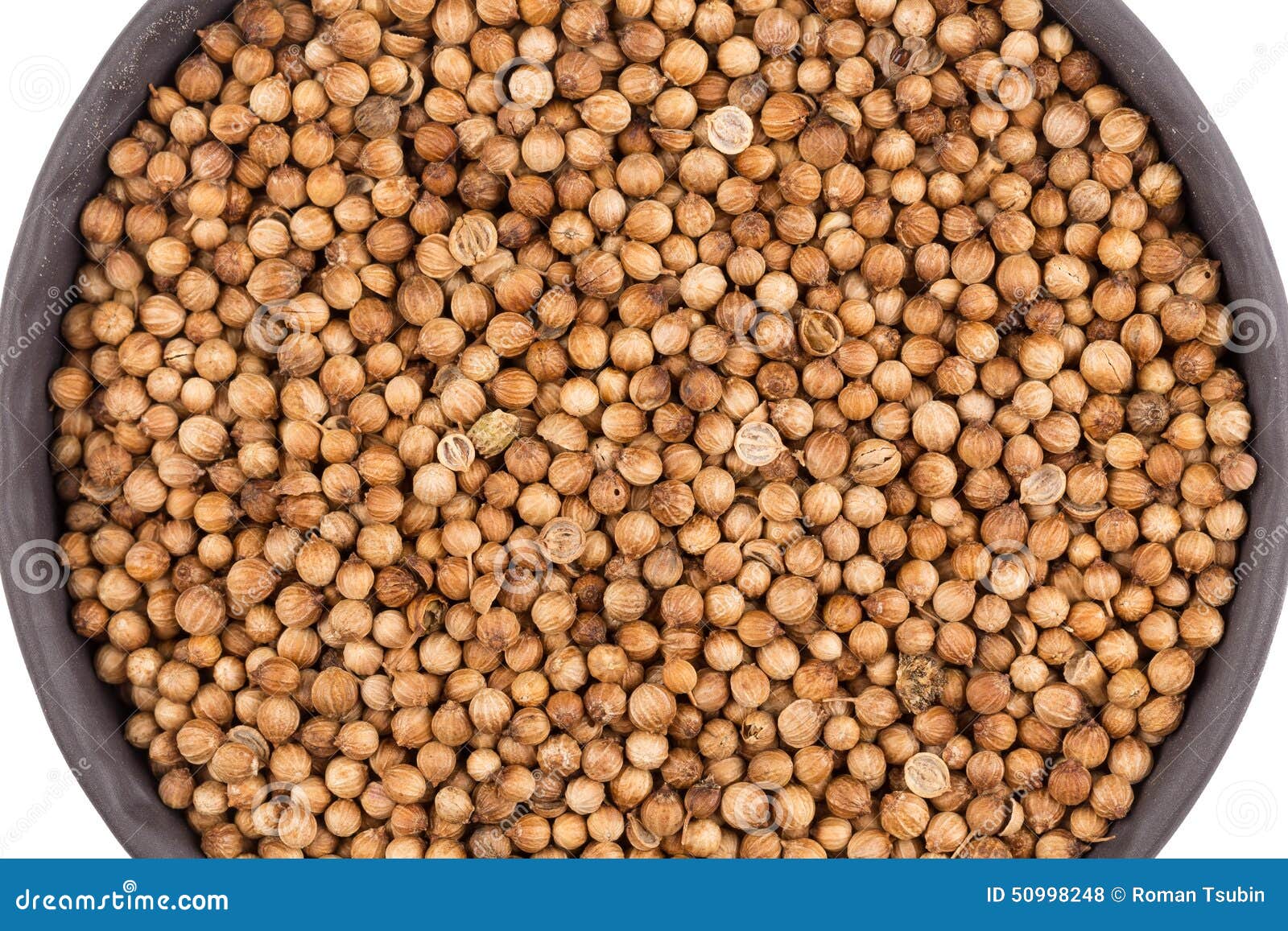 Close Up of Dried Coriander Seeds Stock Photo Image of ingredient