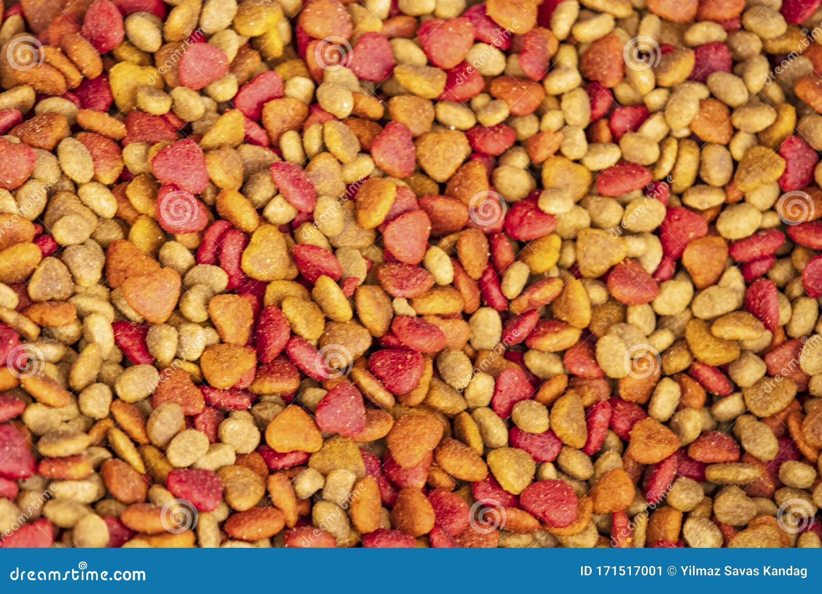 Close up and dry cat food stock image. Image of meal 171517001