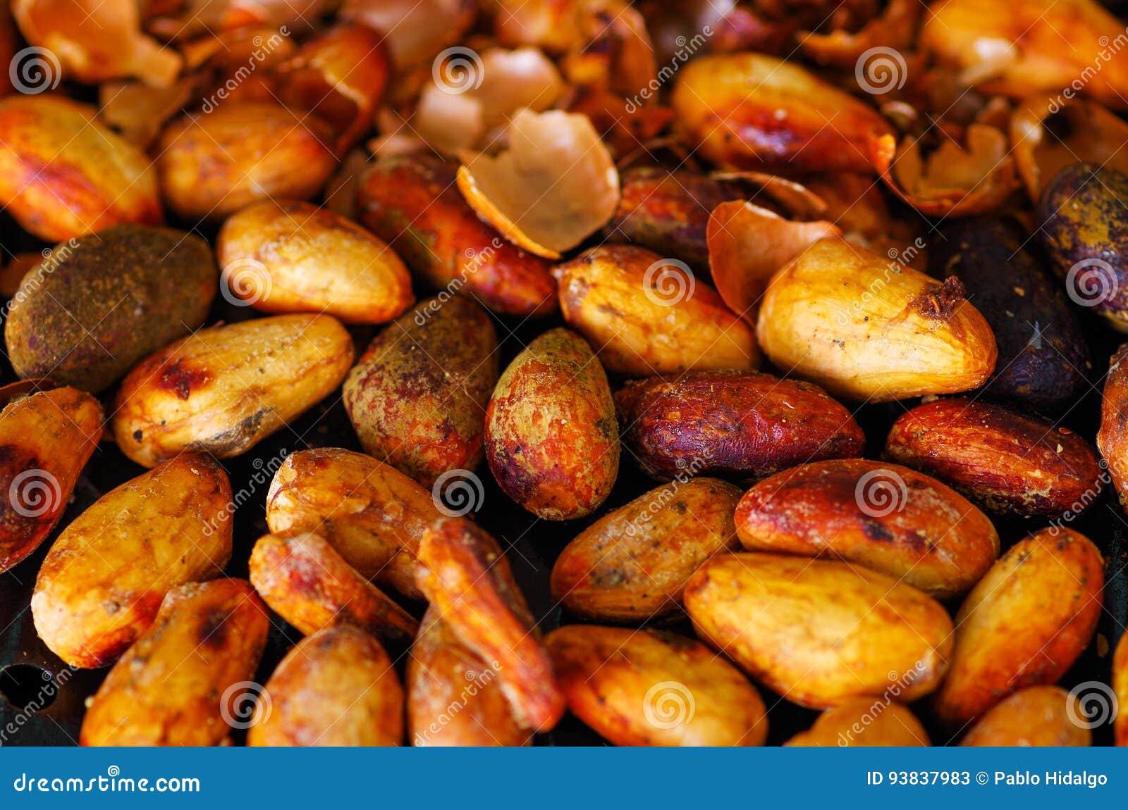 Close Up of a Dry Cocoa Beans Stock Image Image of dish, close 93837983