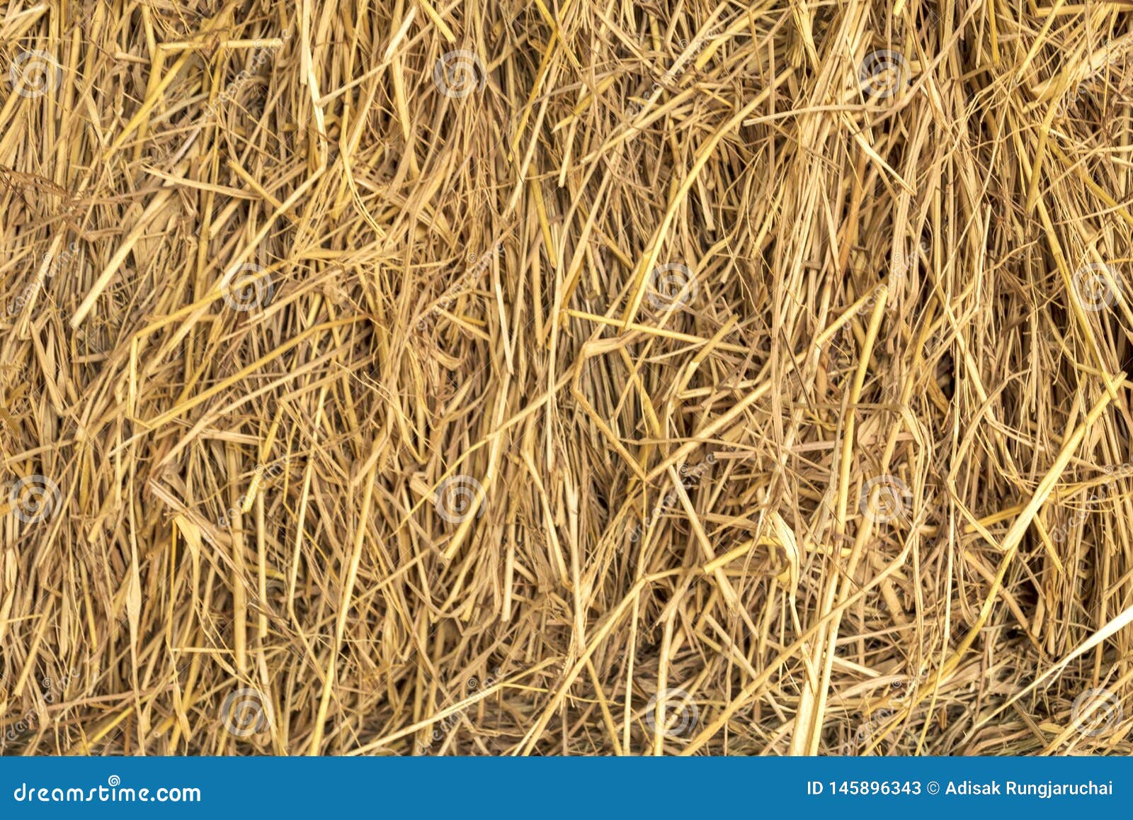 Close Up Of A Dry Grass Straw Harvest Hay Background Texture Of