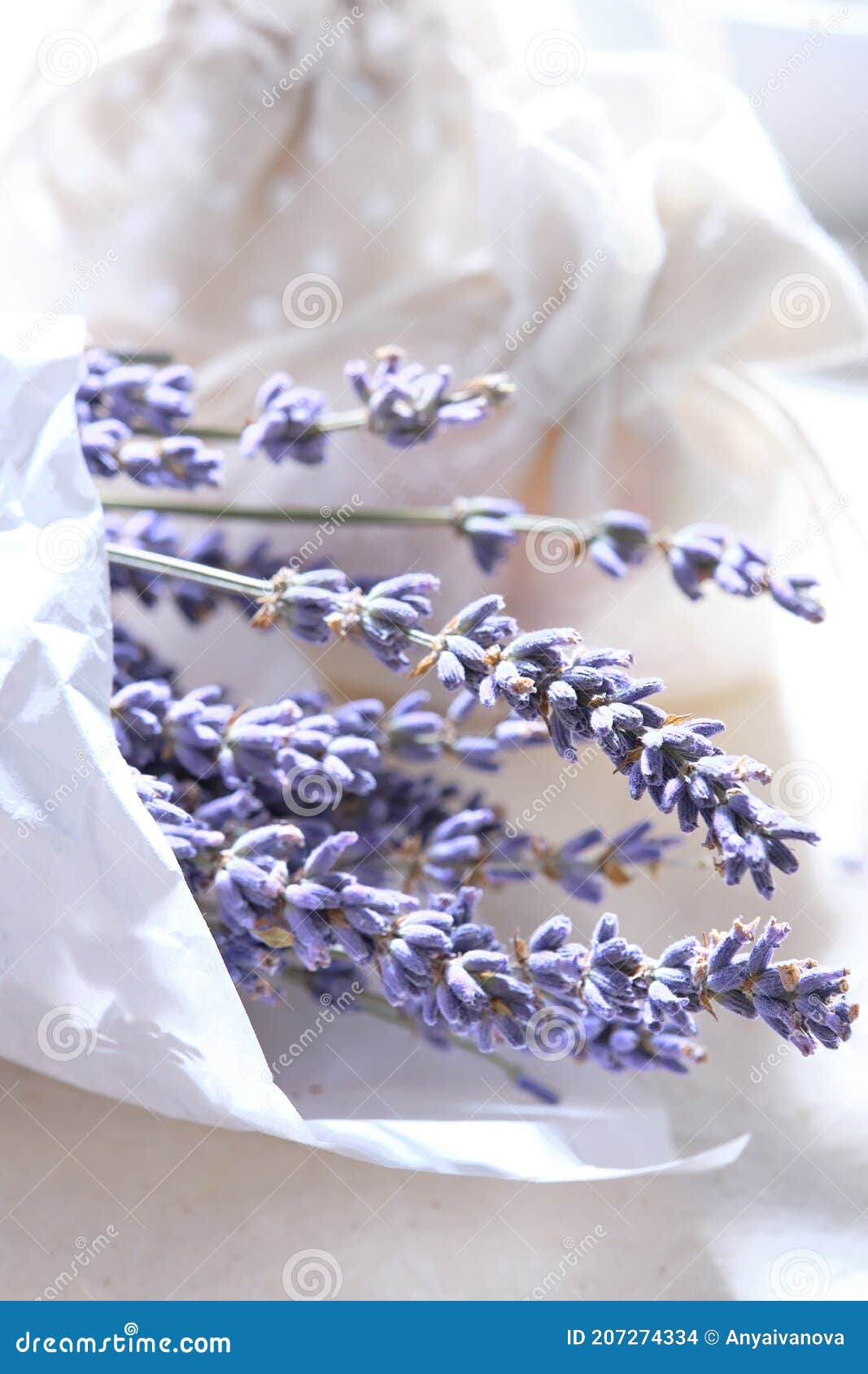 Close-up on Dry Lavender Flowers in White Tracing Paper. Hand Made Lavender  Sachets on Cotton Tablecloth, Stock Photo - Image of calm, lifestyle:  207274334