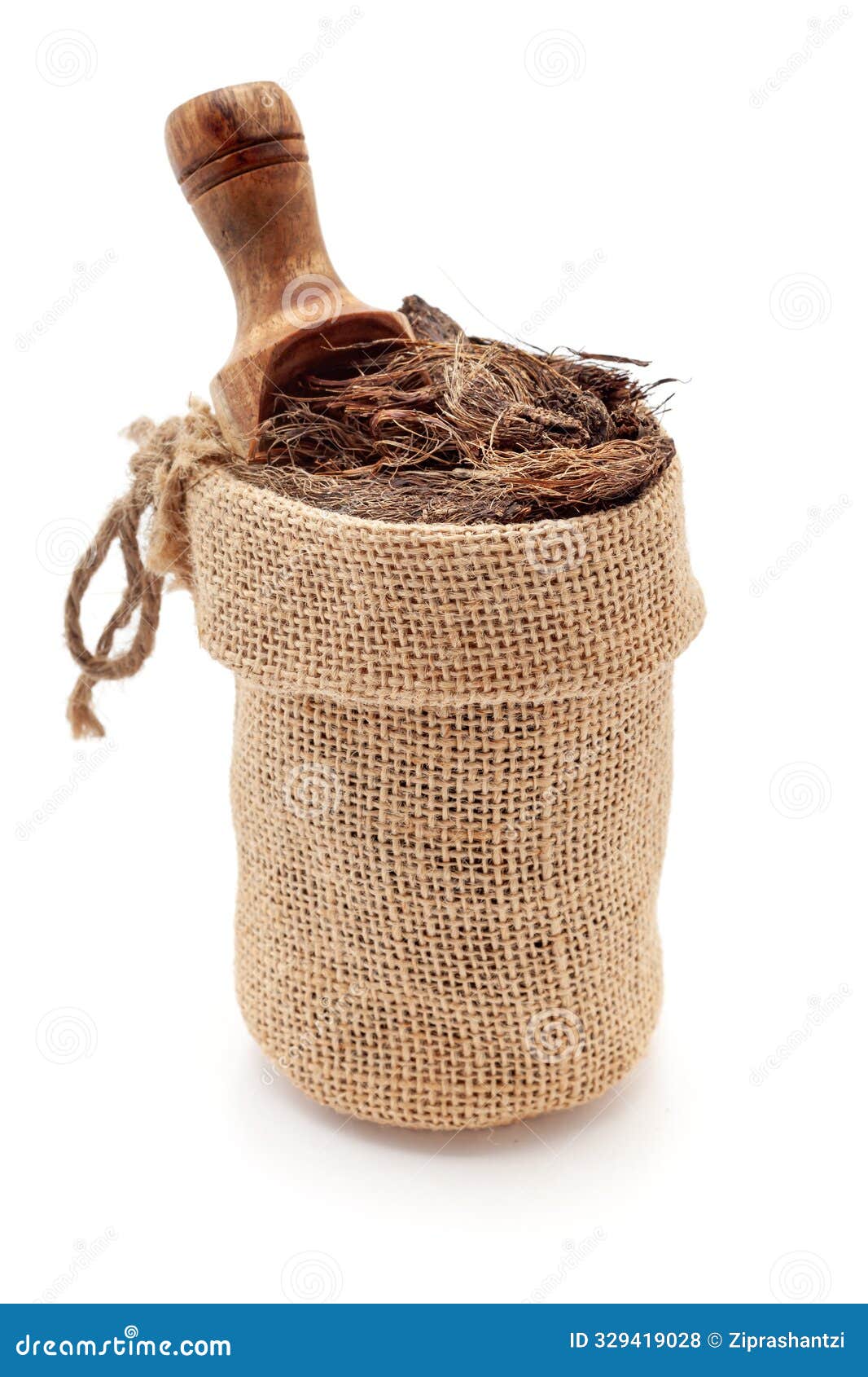 close-up of dry organic jatamansi (nardostachys jatamansi) roots, in a jute bag with a scoop,  on a white