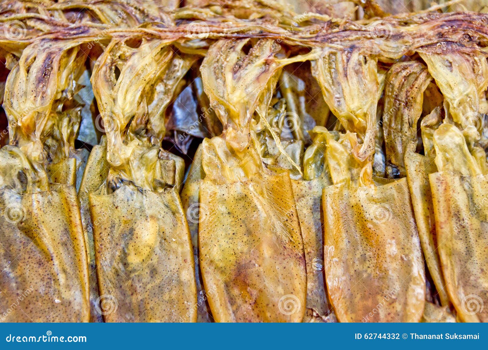 Close up dry squid. stock photo. Image of asia, tentacle 62744332