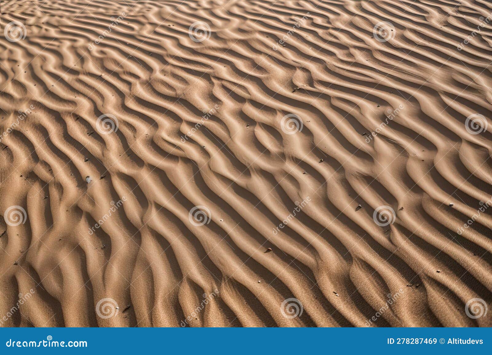 close-up of dunes, with the patterns and textures visible