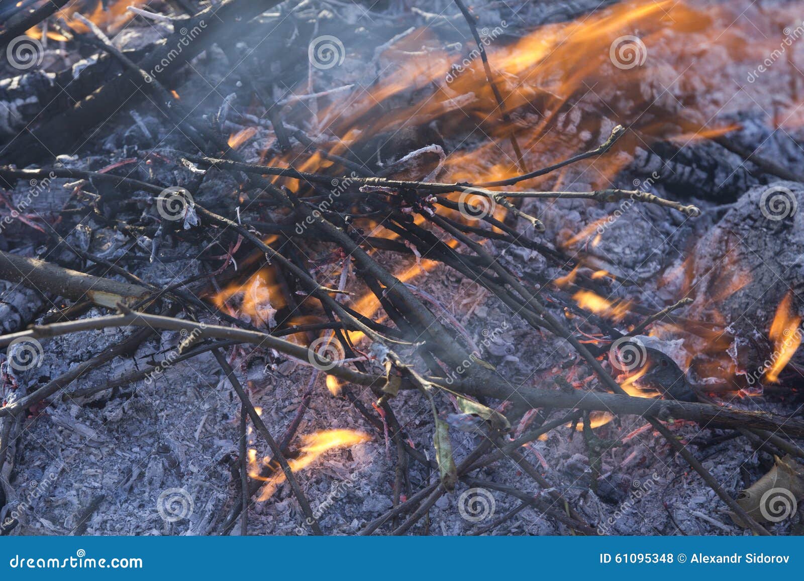 Close Up of a Dying Fire with Flames and Embers. Stock Photo Image of