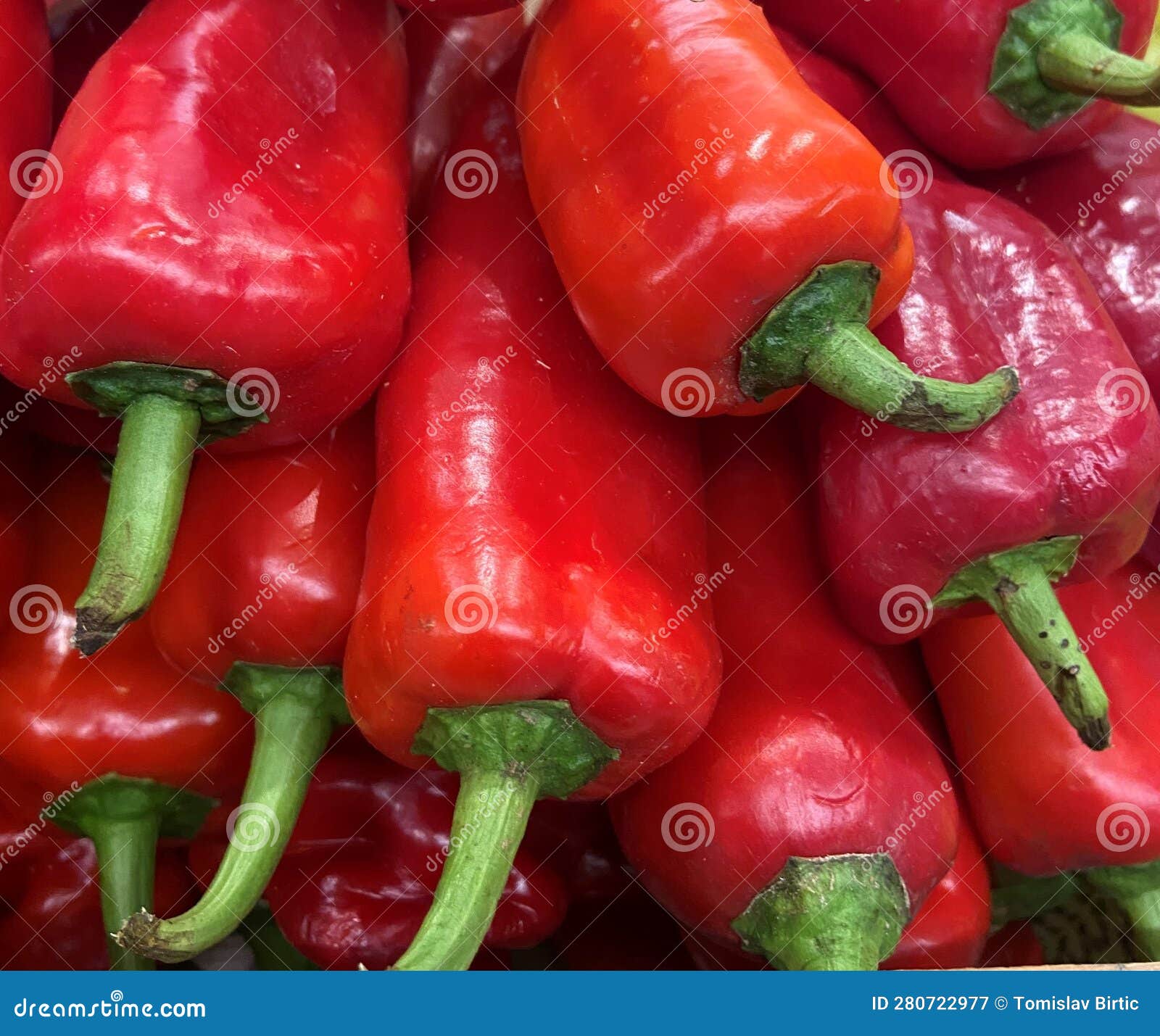 close up of ecologicaly grown red paprika