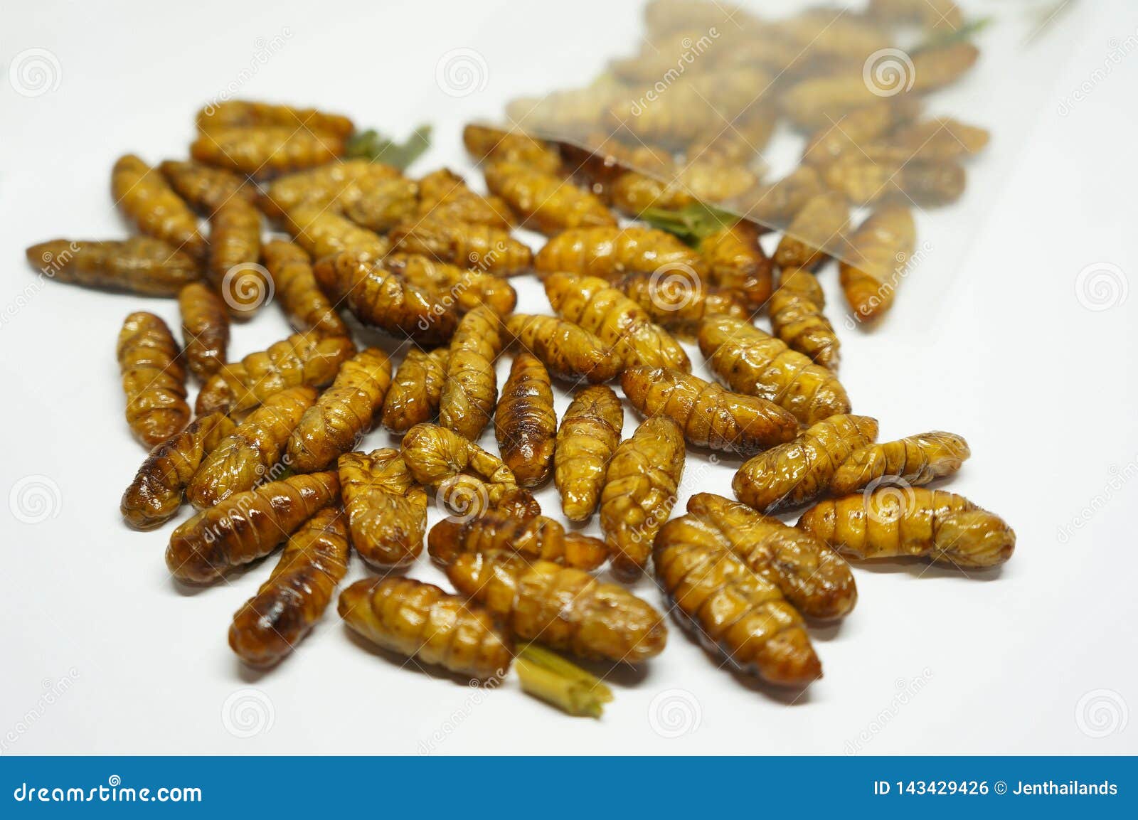 close-up on edibles silkworms