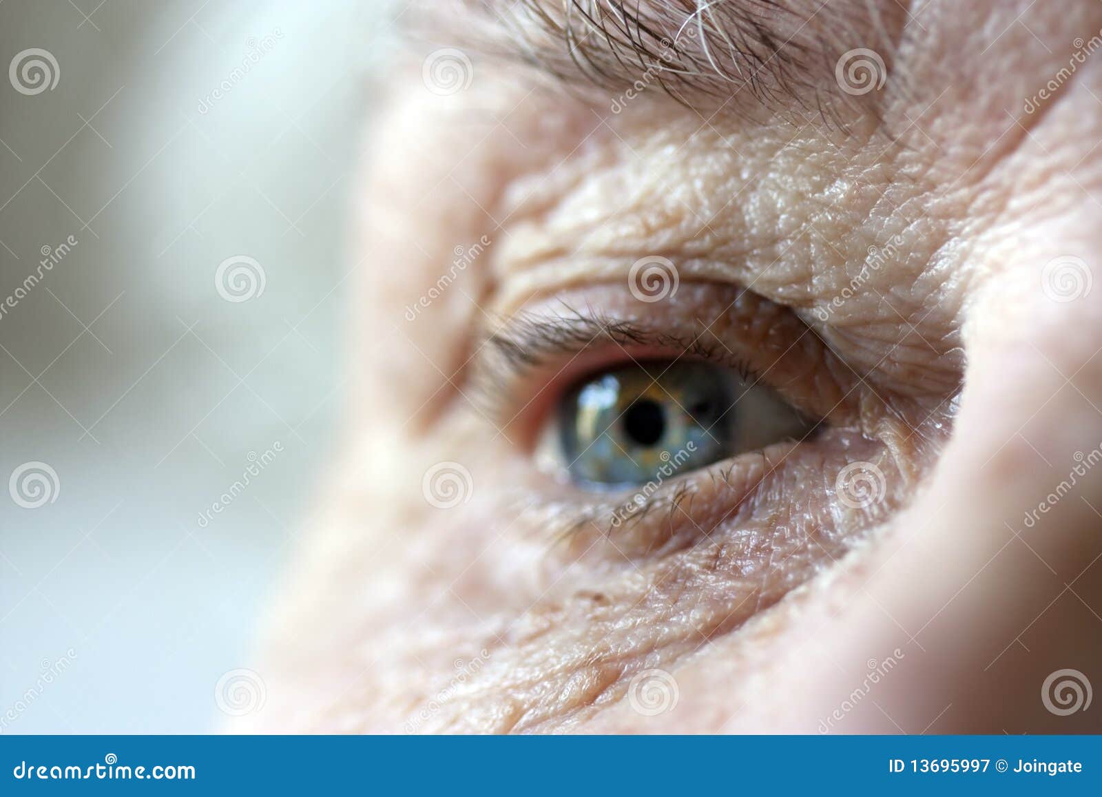 Close Up on Elderly Ladies Eye and Wrinkles Stock Image Image of blue