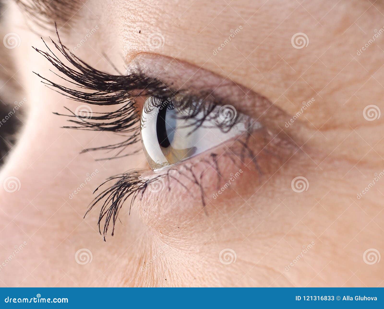 Close Up Of Eye The Human Eye Sideways Girl S Eyes With Big