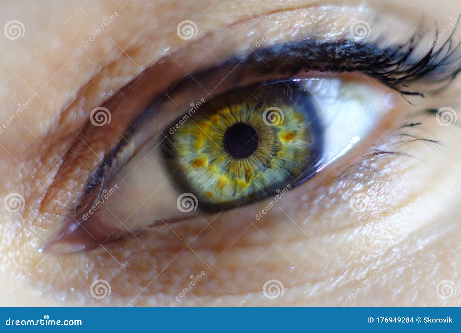Closeup of an Eyeball, Pupil and Iris. Macro Shot of a Human Eye