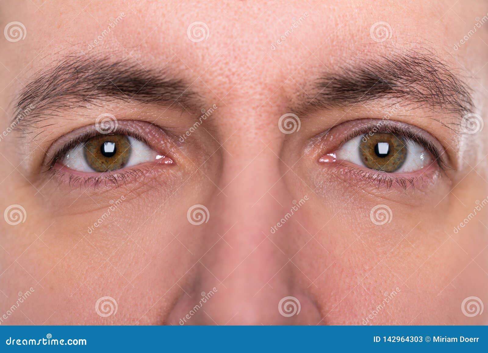 Close Up Eyes And Eyebrows From A Man Stock Image Image Of Male