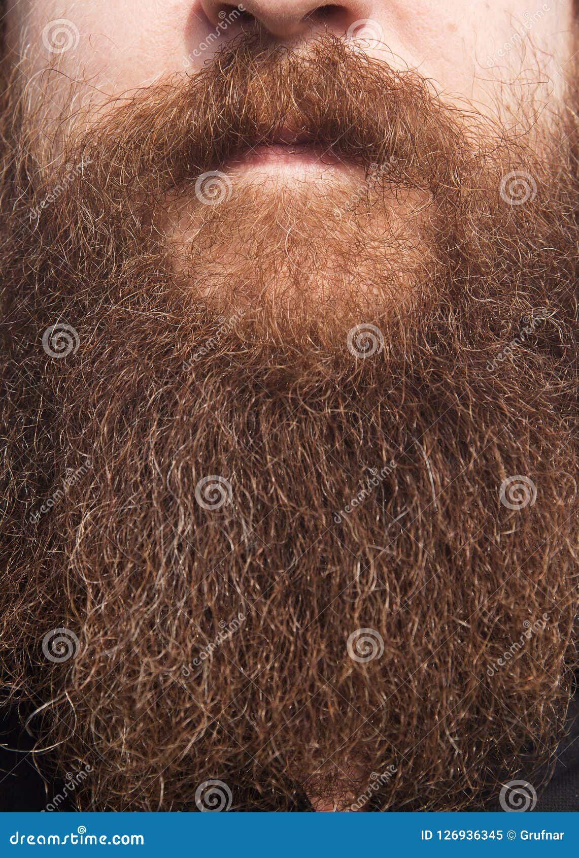 Close Up Of A Face With Thick Beard Stock Image Image Of Hipster