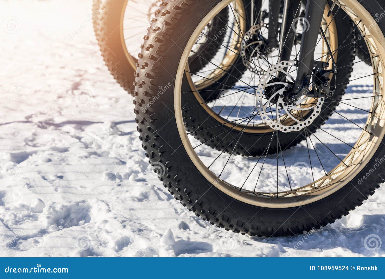 fatbike tires in the snow