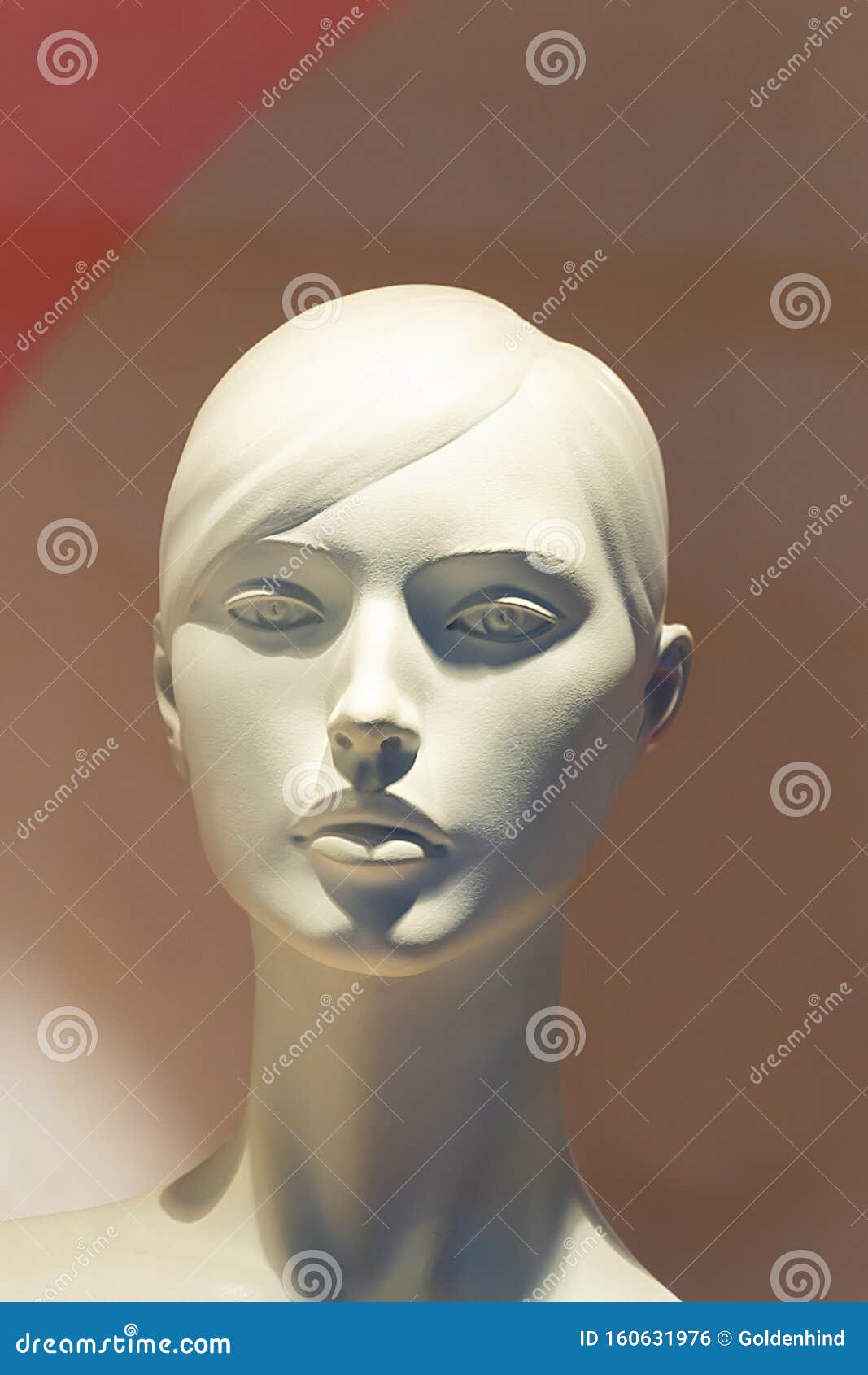 2,426 Mannequin Head Female Face Stock Photos - Free & Royalty-Free Stock  Photos from Dreamstime