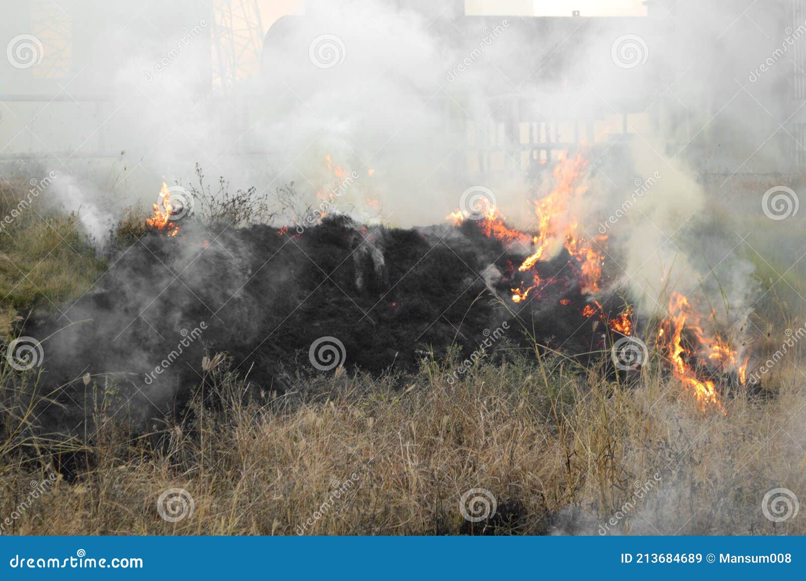 Fire burning ash in garden stock image. Image of garden 213684689