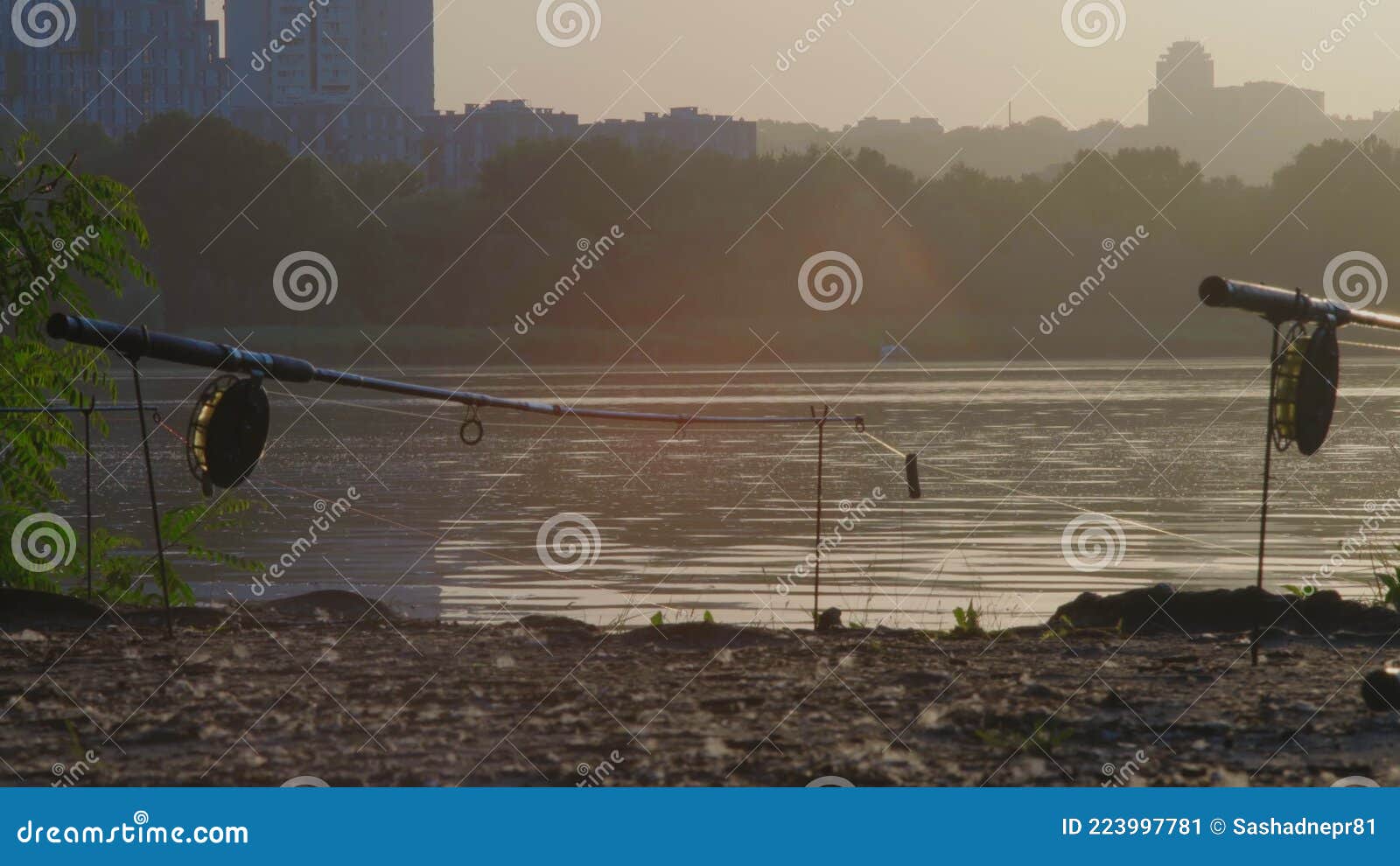 Close-up, Fishing Rods on Stands Standing on the River Bank on the