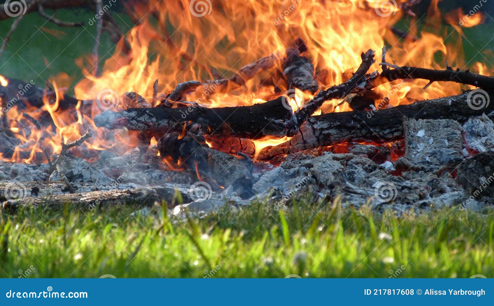 Close Up of a Flaming Bonfire in Sunlight Stock Photo - Image of ...