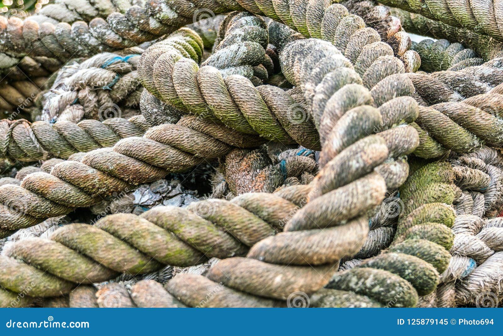 Very Old Pile of Disordered Textured Seafaring Ropes Used for Mo Stock  Image - Image of artistic, maritime: 125879145