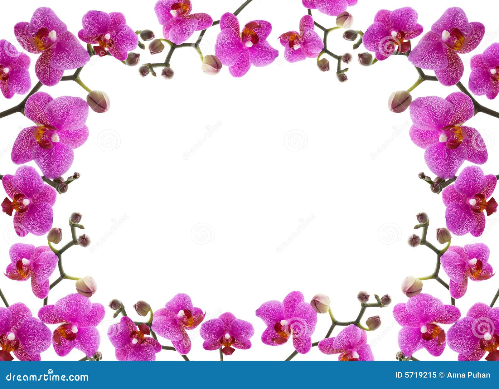 image editor clipart frames download - photo #44
