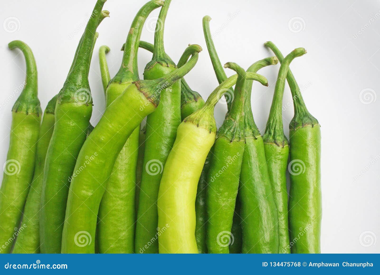 Fresh big green chilli stock photo. Image of fresh, closeup 134475768