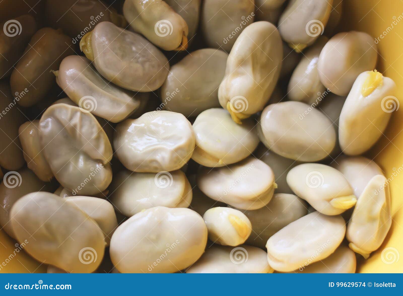 A Close Up of Fresh Broad Beans. Stock Photo Image of diet