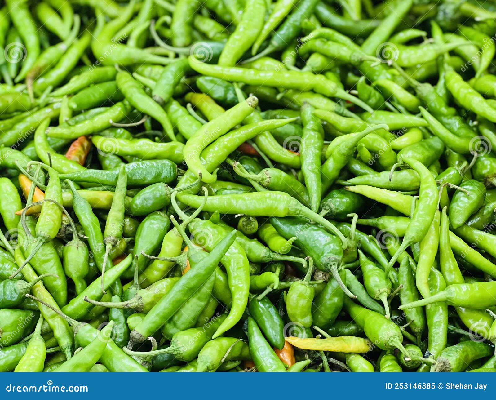 close up of fresh green chilies