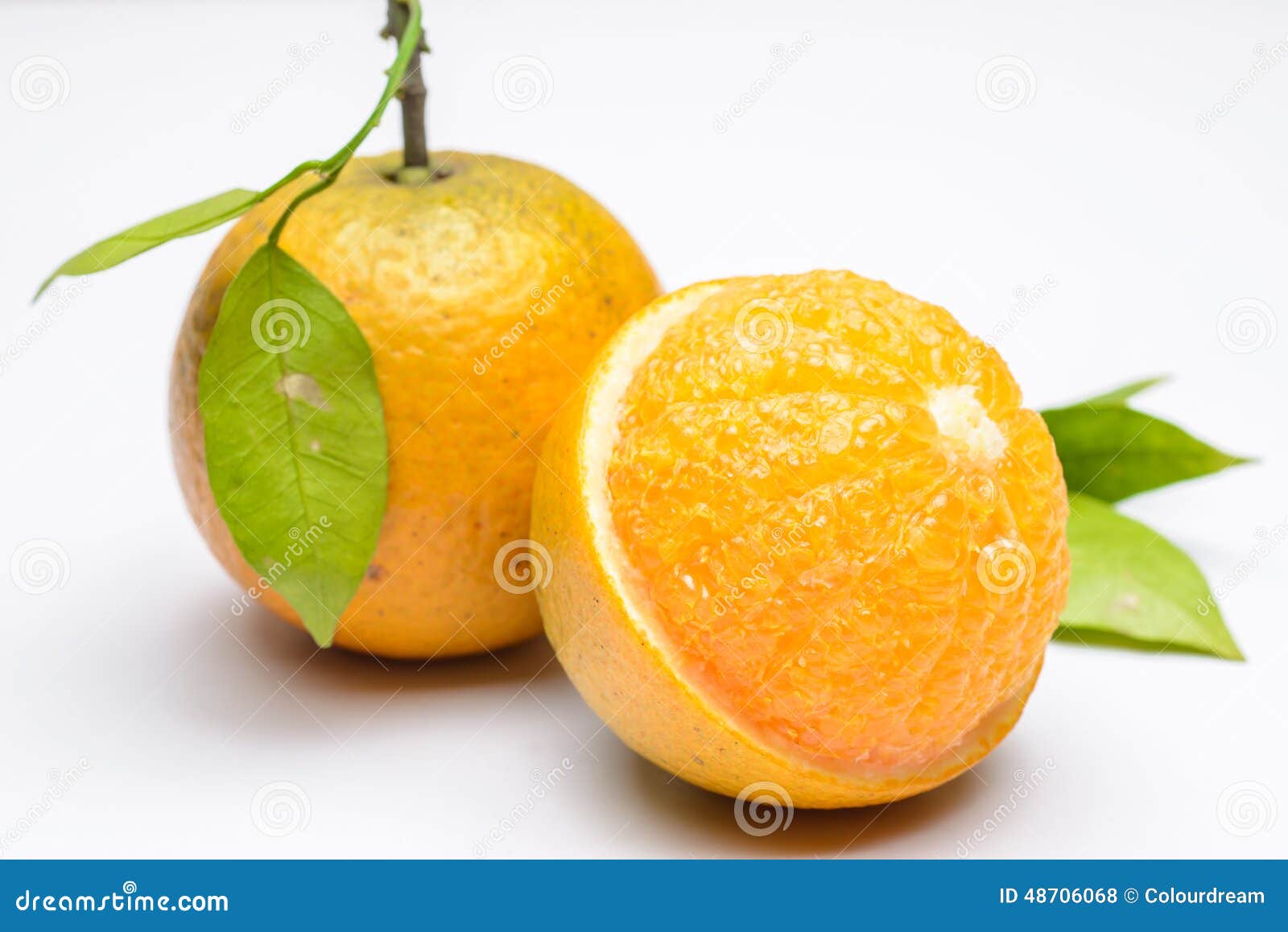 Close up of fresh orange stock photo. Image of leaves 48706068