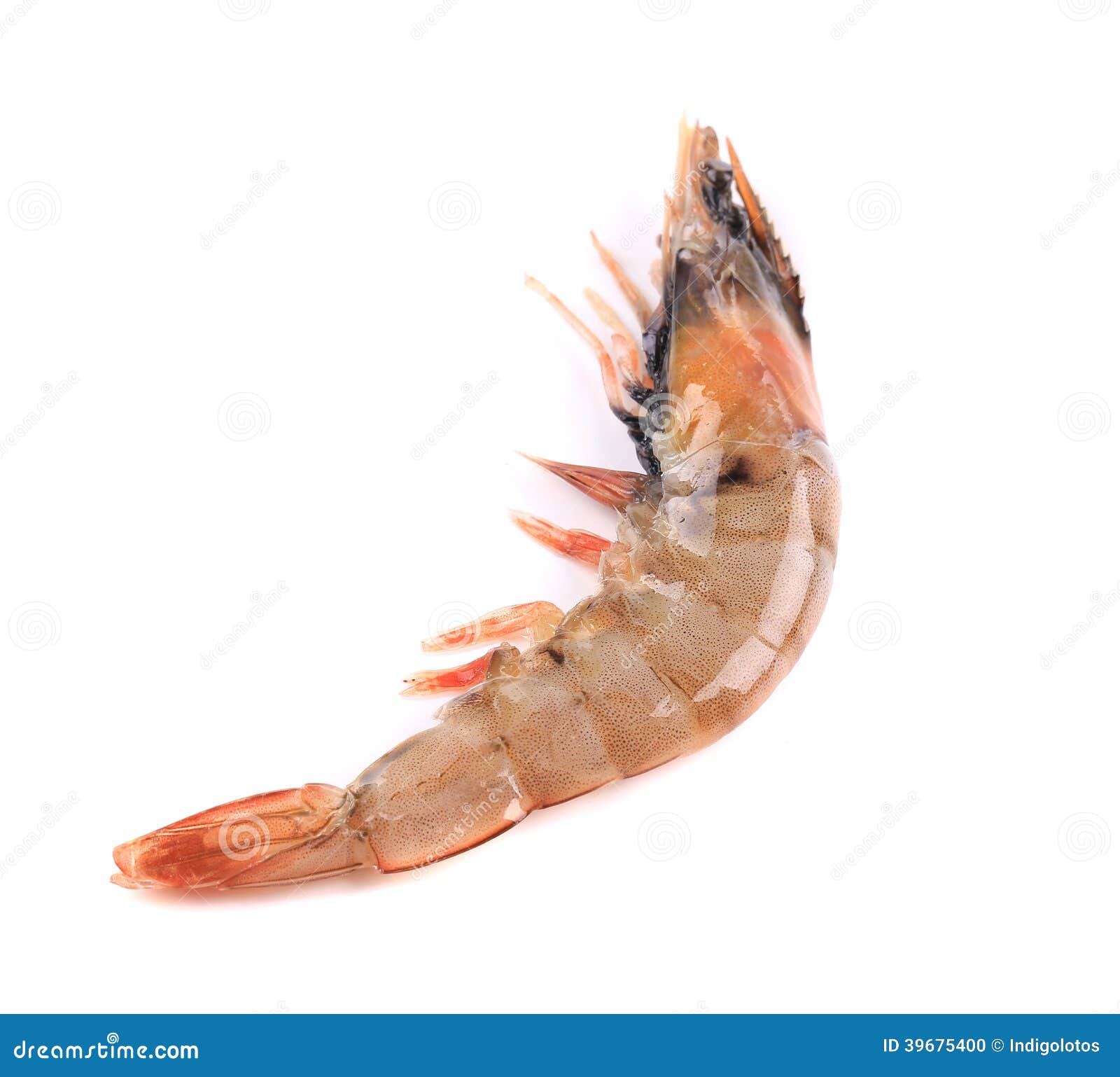 Close up of fresh shrimp stock photo. Image of diet, tasty 39675400