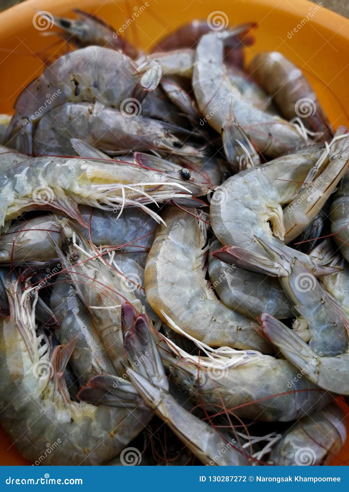 Close Up of Fresh Shrimps from Top View Ready for Sale at the Ma Stock ...