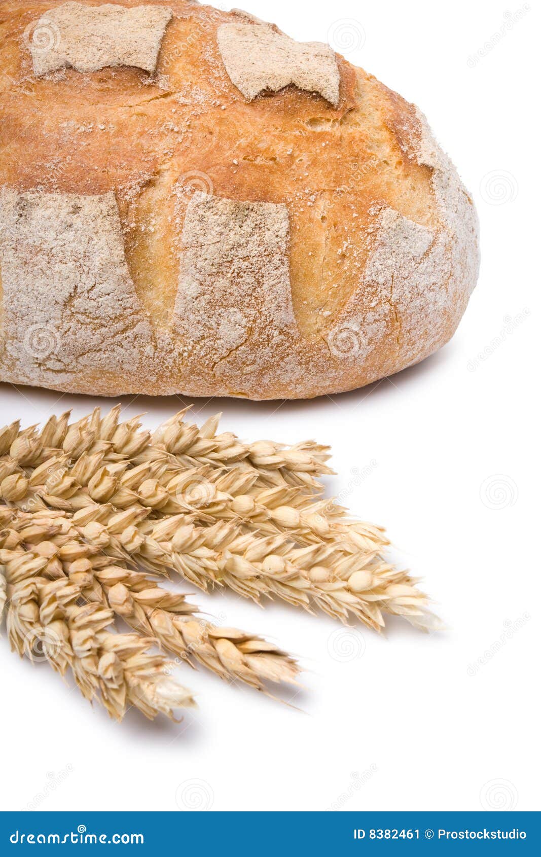 Closeup of the Fresh Village Bread Stock Image Image of brown, bread