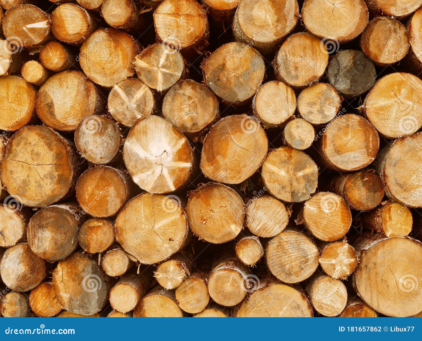 close up front view stacked tree logs background