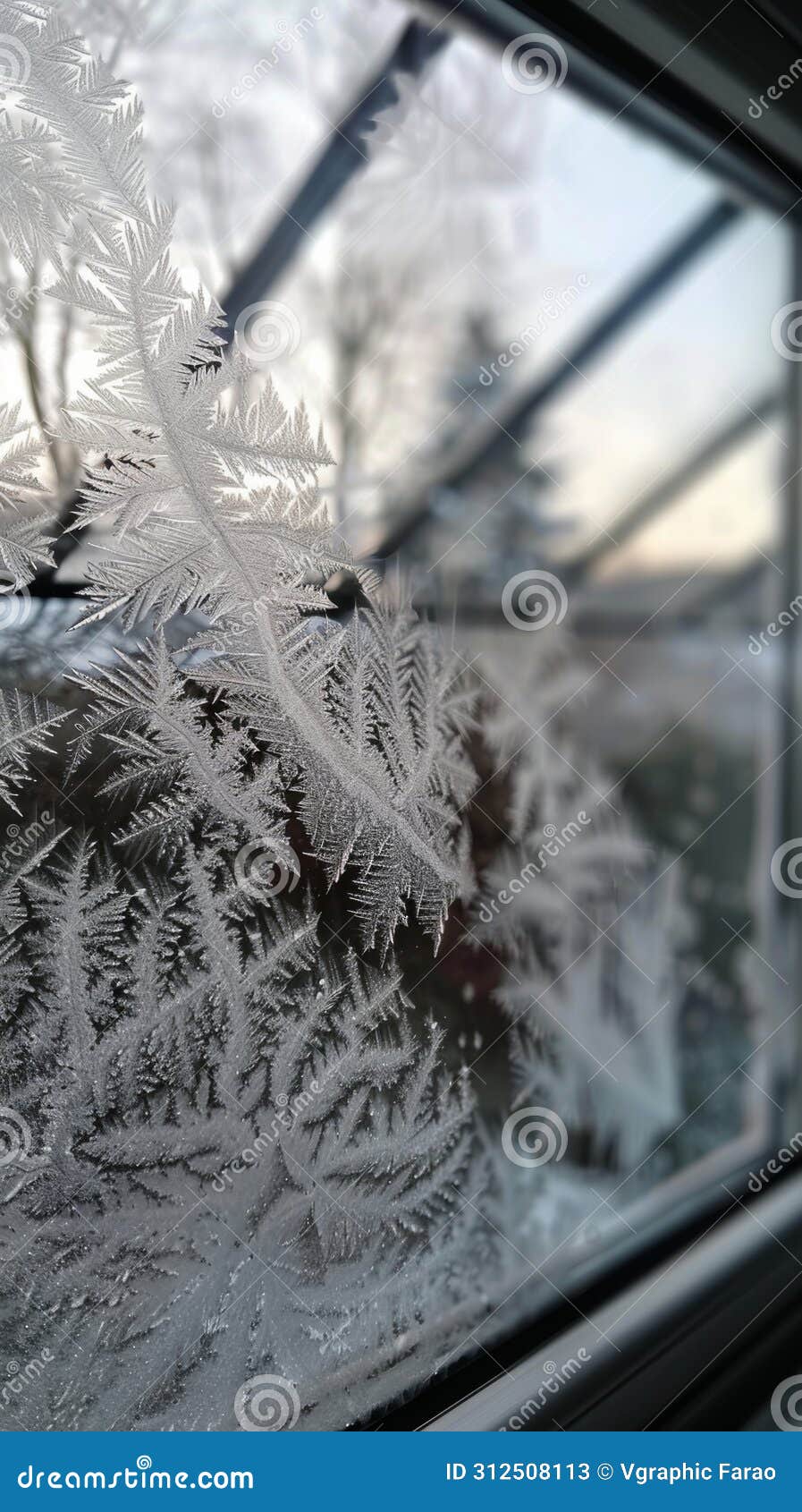 close-up of frost patterns on a window